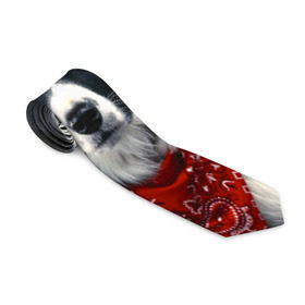 Галстук 3D с принтом Бордер-колли в Курске, 100% полиэстер | Длина 148 см; Плотность 150-180 г/м2 | Тематика изображения на принте: бордер колли | животное | порода | собака