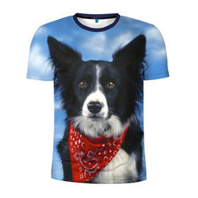Мужская футболка 3D спортивная с принтом Бордер-колли в Курске, 100% полиэстер с улучшенными характеристиками | приталенный силуэт, круглая горловина, широкие плечи, сужается к линии бедра | Тематика изображения на принте: бордер колли | животное | порода | собака