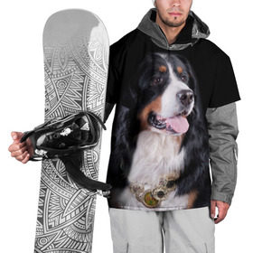 Накидка на куртку 3D с принтом Бернский зенненхунд в Курске, 100% полиэстер |  | бернский зенненхунд | животное | порода | собака