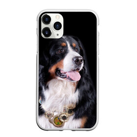 Чехол для iPhone 11 Pro матовый с принтом Бернский зенненхунд в Курске, Силикон |  | бернский зенненхунд | животное | порода | собака