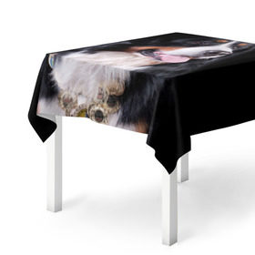 Скатерть 3D с принтом Бернский зенненхунд в Курске, 100% полиэстер (ткань не мнется и не растягивается) | Размер: 150*150 см | Тематика изображения на принте: бернский зенненхунд | животное | порода | собака