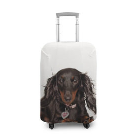 Чехол для чемодана 3D с принтом Карликовая такса в Курске, 86% полиэфир, 14% спандекс | двустороннее нанесение принта, прорези для ручек и колес | животное | карликовая такса | порода | собака