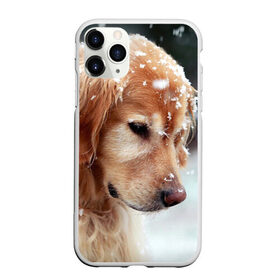 Чехол для iPhone 11 Pro Max матовый с принтом Золотистый ретривер в Курске, Силикон |  | животное | золотистый ретривер | порода | собака