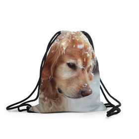 Рюкзак-мешок 3D с принтом Золотистый ретривер в Курске, 100% полиэстер | плотность ткани — 200 г/м2, размер — 35 х 45 см; лямки — толстые шнурки, застежка на шнуровке, без карманов и подкладки | животное | золотистый ретривер | порода | собака