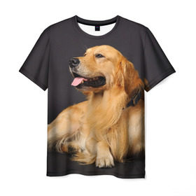 Мужская футболка 3D с принтом Золотистый ретривер в Курске, 100% полиэфир | прямой крой, круглый вырез горловины, длина до линии бедер | Тематика изображения на принте: животное | золотистый ретривер | порода | собака