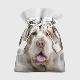Подарочный 3D мешок с принтом Кламбер-спаниель в Курске, 100% полиэстер | Размер: 29*39 см | животное | кламбер спаниель | порода | собака