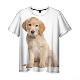 Мужская футболка 3D с принтом Золотистый ретривер в Курске, 100% полиэфир | прямой крой, круглый вырез горловины, длина до линии бедер | Тематика изображения на принте: животное | золотистый ретривер | порода | собака