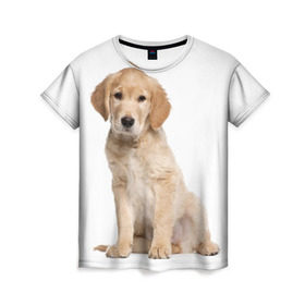 Женская футболка 3D с принтом Золотистый ретривер в Курске, 100% полиэфир ( синтетическое хлопкоподобное полотно) | прямой крой, круглый вырез горловины, длина до линии бедер | животное | золотистый ретривер | порода | собака