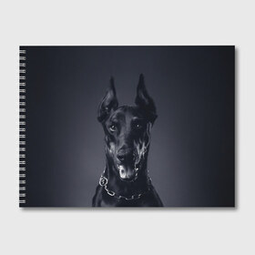 Альбом для рисования с принтом Доберман в Курске, 100% бумага
 | матовая бумага, плотность 200 мг. | доберман | животное | порода | собака