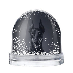 Снежный шар с принтом Доберман в Курске, Пластик | Изображение внутри шара печатается на глянцевой фотобумаге с двух сторон | доберман | животное | порода | собака