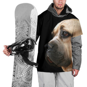 Накидка на куртку 3D с принтом Канне корсо в Курске, 100% полиэстер |  | Тематика изображения на принте: животное | канне корсо | порода | собака