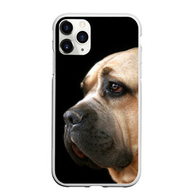 Чехол для iPhone 11 Pro Max матовый с принтом Канне корсо в Курске, Силикон |  | Тематика изображения на принте: животное | канне корсо | порода | собака
