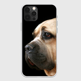 Чехол для iPhone 12 Pro Max с принтом Канне корсо в Курске, Силикон |  | Тематика изображения на принте: животное | канне корсо | порода | собака