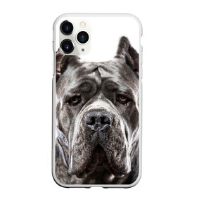 Чехол для iPhone 11 Pro Max матовый с принтом Канне корсо в Курске, Силикон |  | животное | канне корсо | порода | собака