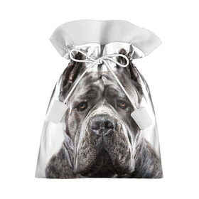 Подарочный 3D мешок с принтом Канне корсо в Курске, 100% полиэстер | Размер: 29*39 см | Тематика изображения на принте: животное | канне корсо | порода | собака