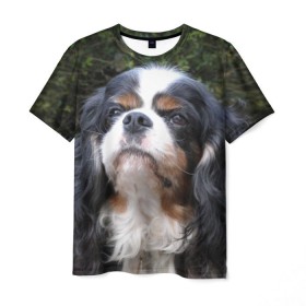 Мужская футболка 3D с принтом Кинг чарльз спаниель в Курске, 100% полиэфир | прямой крой, круглый вырез горловины, длина до линии бедер | животное | кинг чарльз спаниель | порода | собака