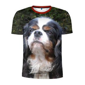 Мужская футболка 3D спортивная с принтом Кинг чарльз спаниель в Курске, 100% полиэстер с улучшенными характеристиками | приталенный силуэт, круглая горловина, широкие плечи, сужается к линии бедра | животное | кинг чарльз спаниель | порода | собака