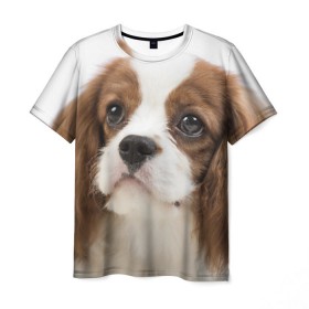Мужская футболка 3D с принтом Кинг чарльз спаниель в Курске, 100% полиэфир | прямой крой, круглый вырез горловины, длина до линии бедер | животное | кинг чарльз спаниель | порода | собака