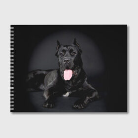 Альбом для рисования с принтом Канне корсо в Курске, 100% бумага
 | матовая бумага, плотность 200 мг. | животное | канне корсо | порода | собака