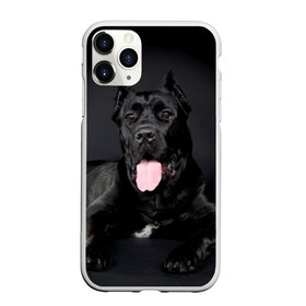 Чехол для iPhone 11 Pro матовый с принтом Канне корсо в Курске, Силикон |  | Тематика изображения на принте: животное | канне корсо | порода | собака