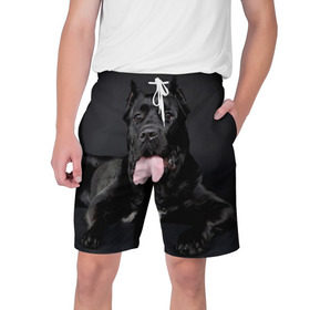 Мужские шорты 3D с принтом Канне корсо в Курске,  полиэстер 100% | прямой крой, два кармана без застежек по бокам. Мягкая трикотажная резинка на поясе, внутри которой широкие завязки. Длина чуть выше колен | животное | канне корсо | порода | собака