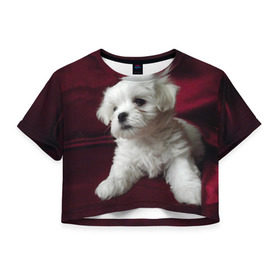 Женская футболка 3D укороченная с принтом Мальтийская болонка в Курске, 100% полиэстер | круглая горловина, длина футболки до линии талии, рукава с отворотами | животное | мальтийская болонка | порода | собака