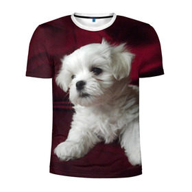 Мужская футболка 3D спортивная с принтом Мальтийская болонка в Курске, 100% полиэстер с улучшенными характеристиками | приталенный силуэт, круглая горловина, широкие плечи, сужается к линии бедра | животное | мальтийская болонка | порода | собака