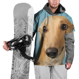 Накидка на куртку 3D с принтом Левретка в Курске, 100% полиэстер |  | животное | порода | собака