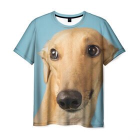 Мужская футболка 3D с принтом Левретка в Курске, 100% полиэфир | прямой крой, круглый вырез горловины, длина до линии бедер | животное | порода | собака