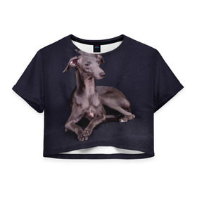 Женская футболка 3D укороченная с принтом Левретка в Курске, 100% полиэстер | круглая горловина, длина футболки до линии талии, рукава с отворотами | животное | порода | собака