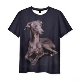 Мужская футболка 3D с принтом Левретка в Курске, 100% полиэфир | прямой крой, круглый вырез горловины, длина до линии бедер | животное | порода | собака