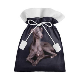 Подарочный 3D мешок с принтом Левретка в Курске, 100% полиэстер | Размер: 29*39 см | Тематика изображения на принте: животное | порода | собака