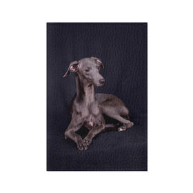 Обложка для паспорта матовая кожа с принтом Левретка в Курске, натуральная матовая кожа | размер 19,3 х 13,7 см; прозрачные пластиковые крепления | животное | порода | собака