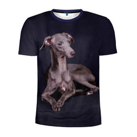 Мужская футболка 3D спортивная с принтом Левретка в Курске, 100% полиэстер с улучшенными характеристиками | приталенный силуэт, круглая горловина, широкие плечи, сужается к линии бедра | животное | порода | собака