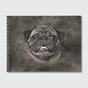 Альбом для рисования с принтом Мопс в Курске, 100% бумага
 | матовая бумага, плотность 200 мг. | животное | мопс | порода | собака