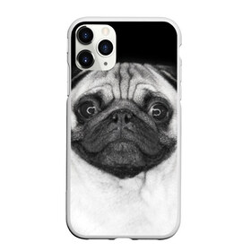 Чехол для iPhone 11 Pro матовый с принтом Мопс в Курске, Силикон |  | животное | мопс | порода | собака