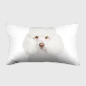 Подушка 3D антистресс с принтом Белый пудель в Курске, наволочка — 100% полиэстер, наполнитель — вспененный полистирол | состоит из подушки и наволочки на молнии | белый пудель | животное | порода | собака