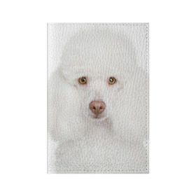 Обложка для паспорта матовая кожа с принтом Белый пудель в Курске, натуральная матовая кожа | размер 19,3 х 13,7 см; прозрачные пластиковые крепления | Тематика изображения на принте: белый пудель | животное | порода | собака