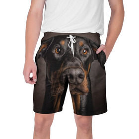 Мужские шорты 3D с принтом Доберман в Курске,  полиэстер 100% | прямой крой, два кармана без застежек по бокам. Мягкая трикотажная резинка на поясе, внутри которой широкие завязки. Длина чуть выше колен | Тематика изображения на принте: доберман | животное | порода | собака
