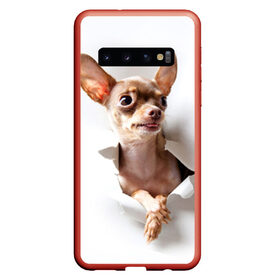 Чехол для Samsung Galaxy S10 с принтом Той-терьер в Курске, Силикон | Область печати: задняя сторона чехла, без боковых панелей | Тематика изображения на принте: животное | порода | собака | той терьер