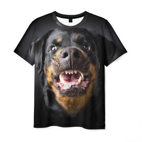 Мужская футболка 3D с принтом Ротвейлер в Курске, 100% полиэфир | прямой крой, круглый вырез горловины, длина до линии бедер | Тематика изображения на принте: животное | порода | ротвейлер | собака