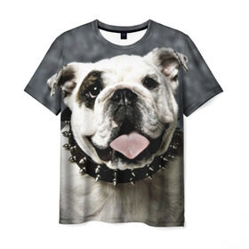 Мужская футболка 3D с принтом Английский бульдог в Курске, 100% полиэфир | прямой крой, круглый вырез горловины, длина до линии бедер | животное | порода | собака | французский бульдог