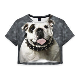 Женская футболка 3D укороченная с принтом Английский бульдог в Курске, 100% полиэстер | круглая горловина, длина футболки до линии талии, рукава с отворотами | животное | порода | собака | французский бульдог