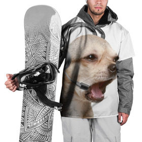 Накидка на куртку 3D с принтом Чихуахуа в Курске, 100% полиэстер |  | Тематика изображения на принте: животное | порода | собака | чихуахуа