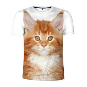 Мужская футболка 3D спортивная с принтом Рыжий котенок в Курске, 100% полиэстер с улучшенными характеристиками | приталенный силуэт, круглая горловина, широкие плечи, сужается к линии бедра | животное | порода | рыжий котенок