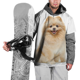 Накидка на куртку 3D с принтом Кеесхонд в Курске, 100% полиэстер |  | животное | кеесхонд | порода | собака
