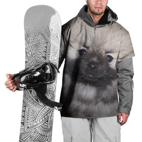Накидка на куртку 3D с принтом Кеесхонд в Курске, 100% полиэстер |  | животное | кеесхонд | порода | собака