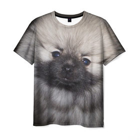 Мужская футболка 3D с принтом Кеесхонд в Курске, 100% полиэфир | прямой крой, круглый вырез горловины, длина до линии бедер | животное | кеесхонд | порода | собака