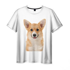 Мужская футболка 3D с принтом Пемброк-вельш-корги в Курске, 100% полиэфир | прямой крой, круглый вырез горловины, длина до линии бедер | Тематика изображения на принте: животное | пемброк вельш корги | порода | собака
