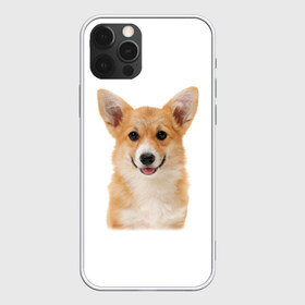 Чехол для iPhone 12 Pro Max с принтом Пемброк-вельш-корги в Курске, Силикон |  | Тематика изображения на принте: животное | пемброк вельш корги | порода | собака